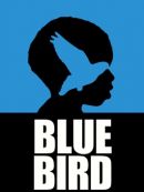 Achat DVD  Blue Bird 