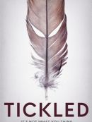 Télécharger Tickled