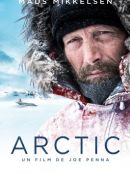 Achat DVD  Arctic 