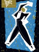 Achat DVD  Serious Moonlight 