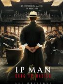 Achat DVD  Ip Man: Kung Fu Master 