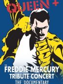 Achat DVD  Queen - The Freddie Mercury Tribute Concert 10th Anniversary Documentary 