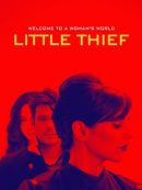 Achat DVD  Petite Voleuse 