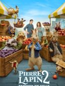 Achat DVD  Pierre Lapin 2 : Panique En Ville 