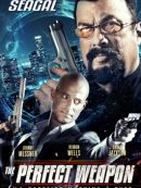 Achat DVD  The Perfect Weapon 