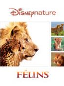 Télécharger Félins