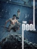 Achat DVD  The Pool 