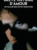 Achat DVD  Brève Histoire D'amour 