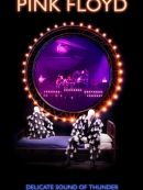 Achat DVD  Delicate Sound Of Thunder 