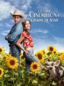 Achat DVD  Comme Cendrillon 6 : Graine De Star 