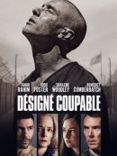 Achat DVD  Désigné Coupable 