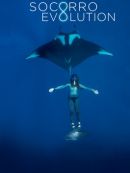 Achat DVD  Socorro Evolution 