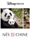 Achat DVD  Disneynature: Nés En Chine 