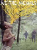 Achat DVD  We The Animals 