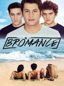 Télécharger Bromance