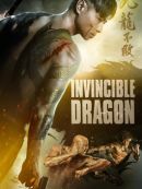 Achat DVD  Invincible Dragon 