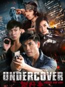 Achat DVD  Undercover, Punch & Gun 