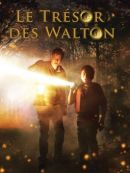 Achat DVD  Le Trésor Des Walton 