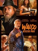 Achat DVD  Waldo Détective Privé 