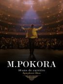 Achat DVD  10 Ans De Carrière Symphonic Show 