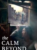 Achat DVD  The Calm Beyond 