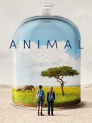 Achat DVD  Animal 