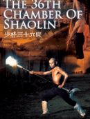 Achat DVD  少林三十六房 