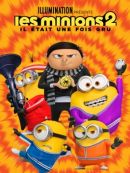 Achat DVD  Les Minions 2 : Il était Une Fois Gru 