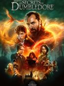 Achat DVD  Les Animaux Fantastiques 3 : Les Secrets De Dumbledore 