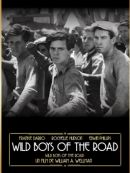 Achat DVD  Wild Boys Of The Road 