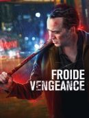 Achat DVD  Froide Vengeance 