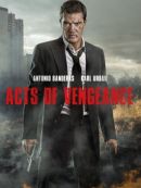 Achat DVD  Acts Of Vengeance 