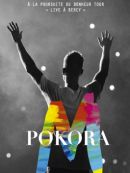 Achat DVD  M Pokora: A La Poursuite Du Bonheur Tour 