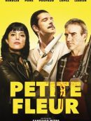 Achat DVD  Petite Fleur 