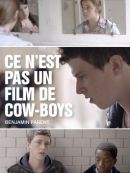 Achat DVD  Ce N’est Pas Un Film De Cow-boys 