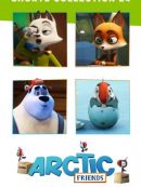Achat DVD  Arctic Friends: Shorts Collection 24 