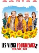 Achat DVD  Les Vieux Fourneaux 2 : Bons Pour L'asile 
