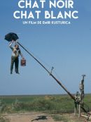 Achat DVD  Chat Noir, Chat Blanc 