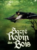 Achat DVD  Sacré Robin Des Bois 