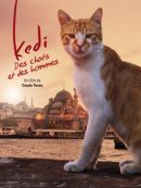 Achat DVD  Kedi, Des Chats Et Des Hommes 