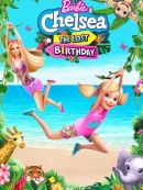 Achat DVD  Barbie & Chelsea The Lost Birthday 