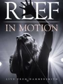 Achat DVD  Reef: In Motion: Live From Hammersmith 