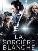 Achat DVD  La Sorcière Blanche 