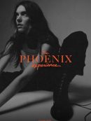 Achat DVD  The Phoenix Experience 