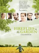 Achat DVD  Fireflies In The Garden 