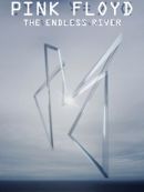 Achat DVD  The Endless River 