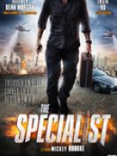 Achat DVD  The Specialist 