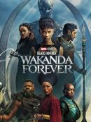 Achat DVD  Black Panther: Wakanda Forever 