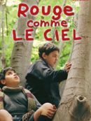 Achat DVD  Rouge Comme Le Ciel 