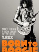 Achat DVD  T.Rex: Born To Boogie 